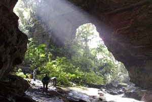 Cueva de Guacharos