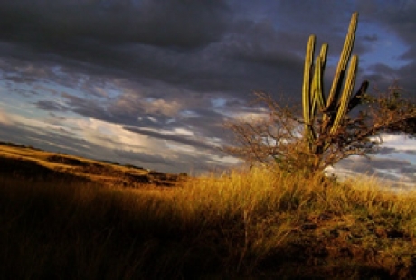 Desierto de Tatacoa