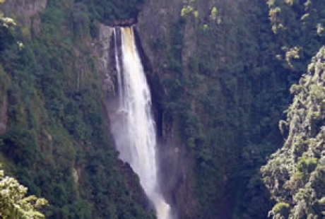 Salto Bordones
